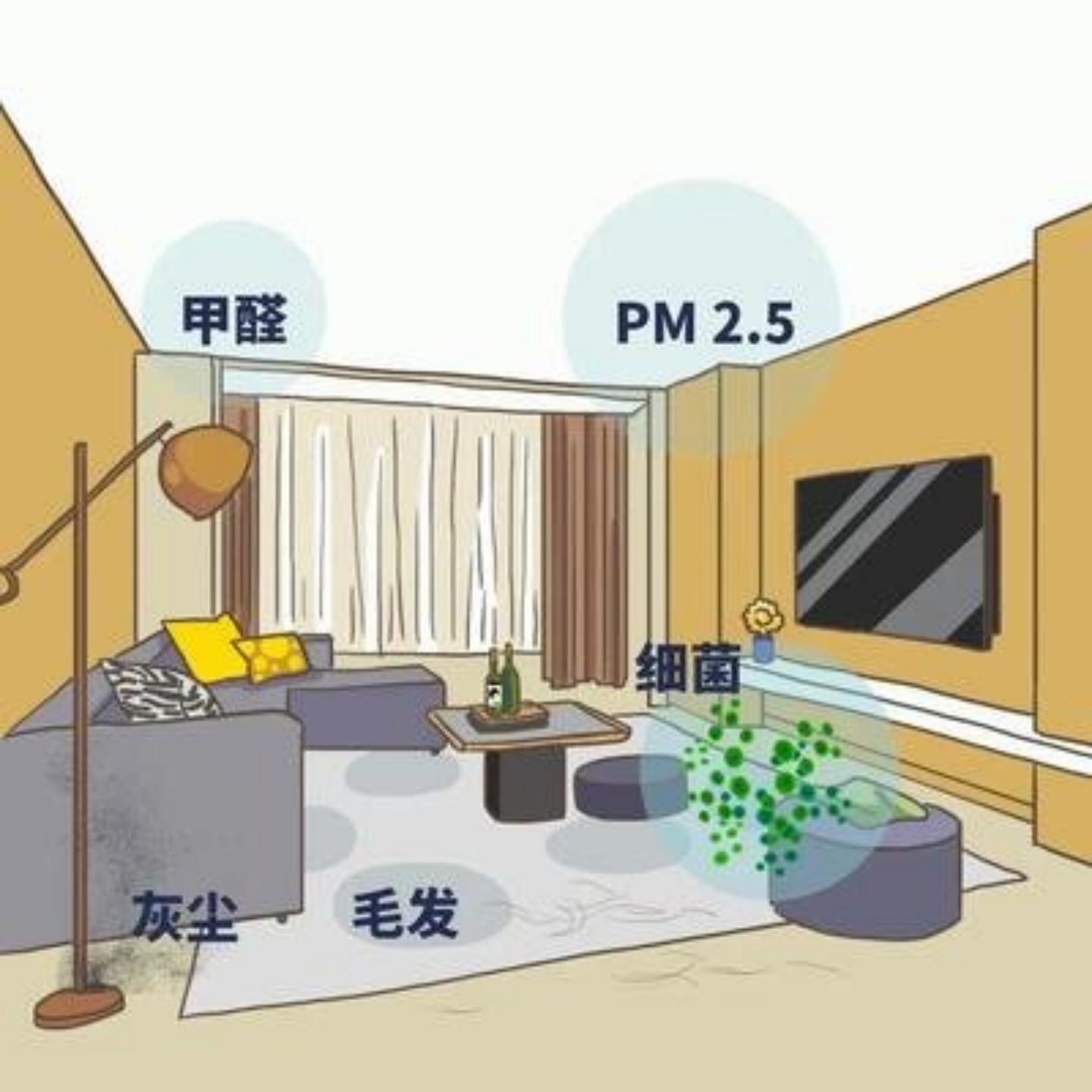 室内空气污染