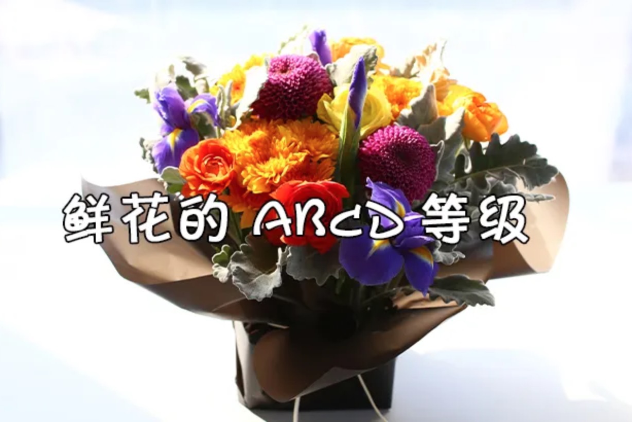 鲜花分为ABCD等级：