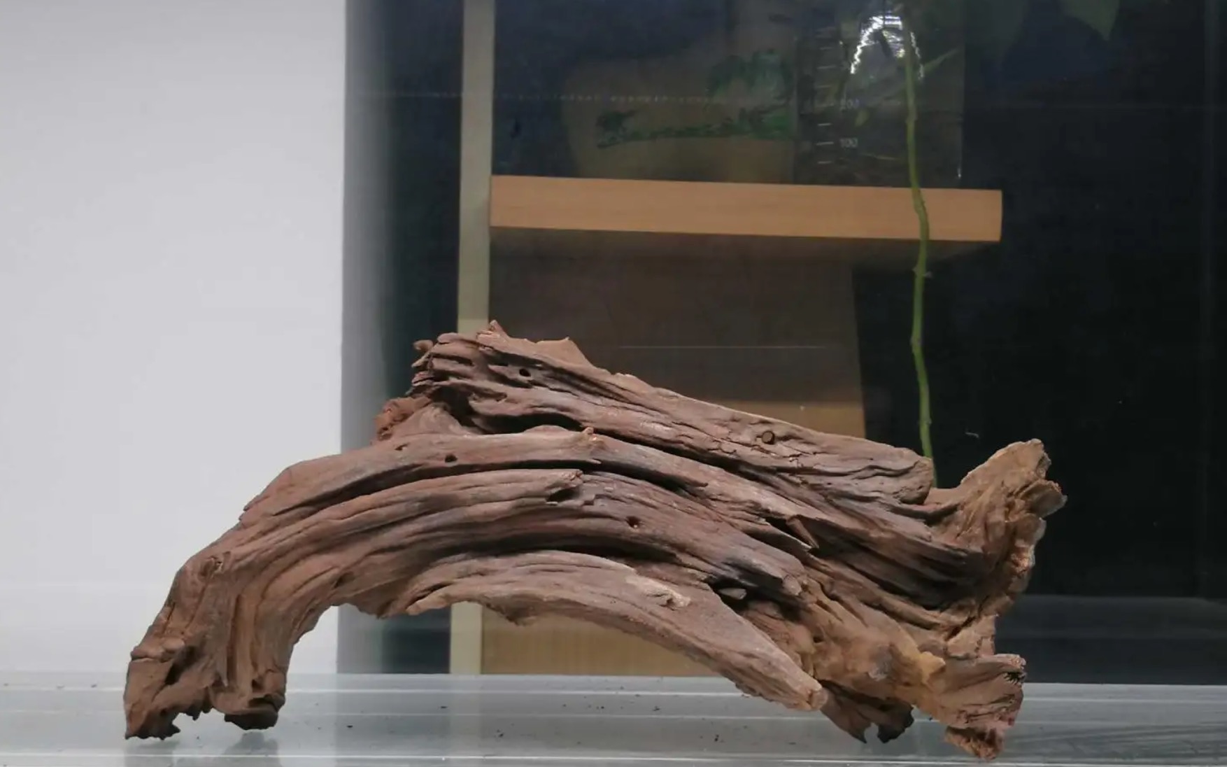 沉木