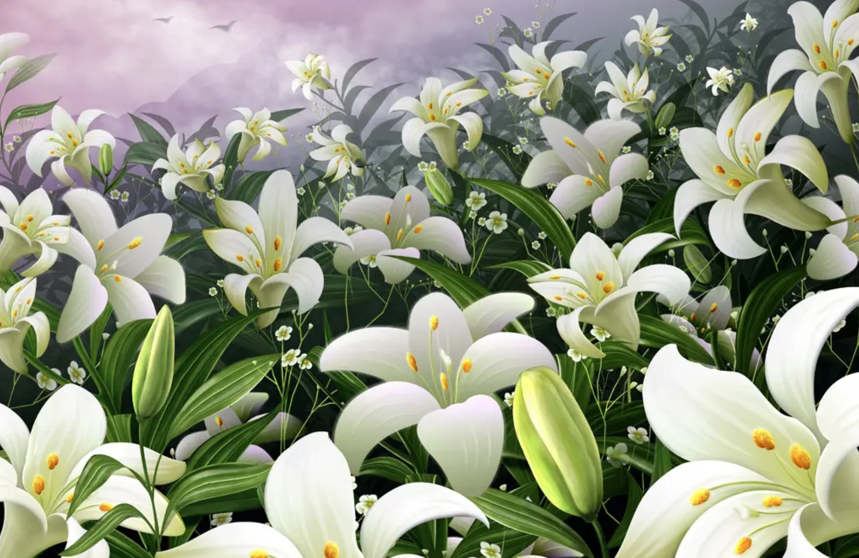 粉色百合花