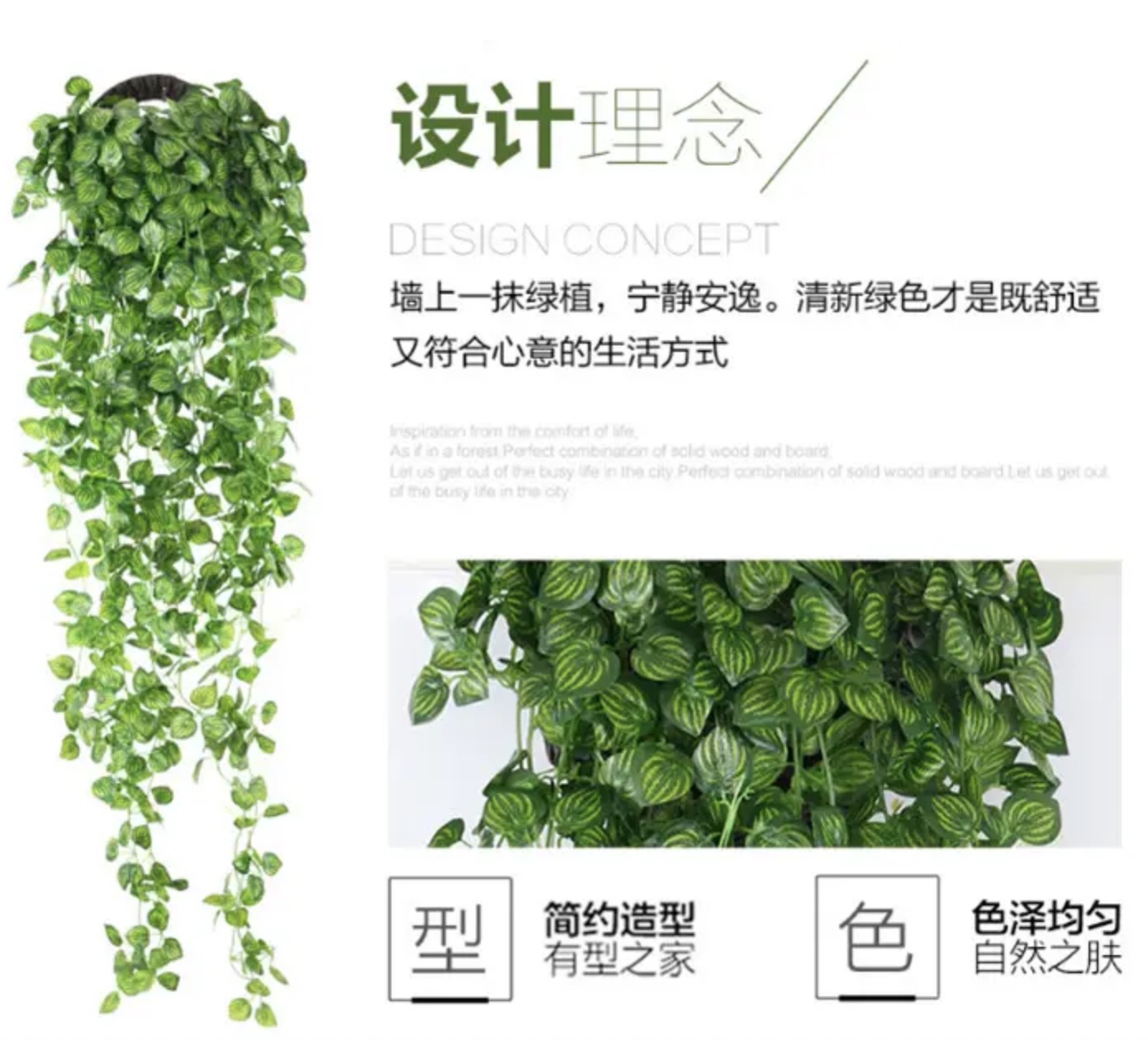绿萝造型