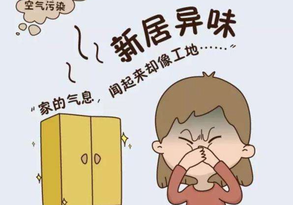 装修后的异味