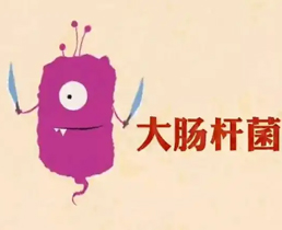 老房室内环境安全隐患之大肠杆菌