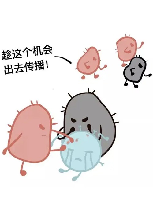 老房室内环境安全隐患之鼻病毒