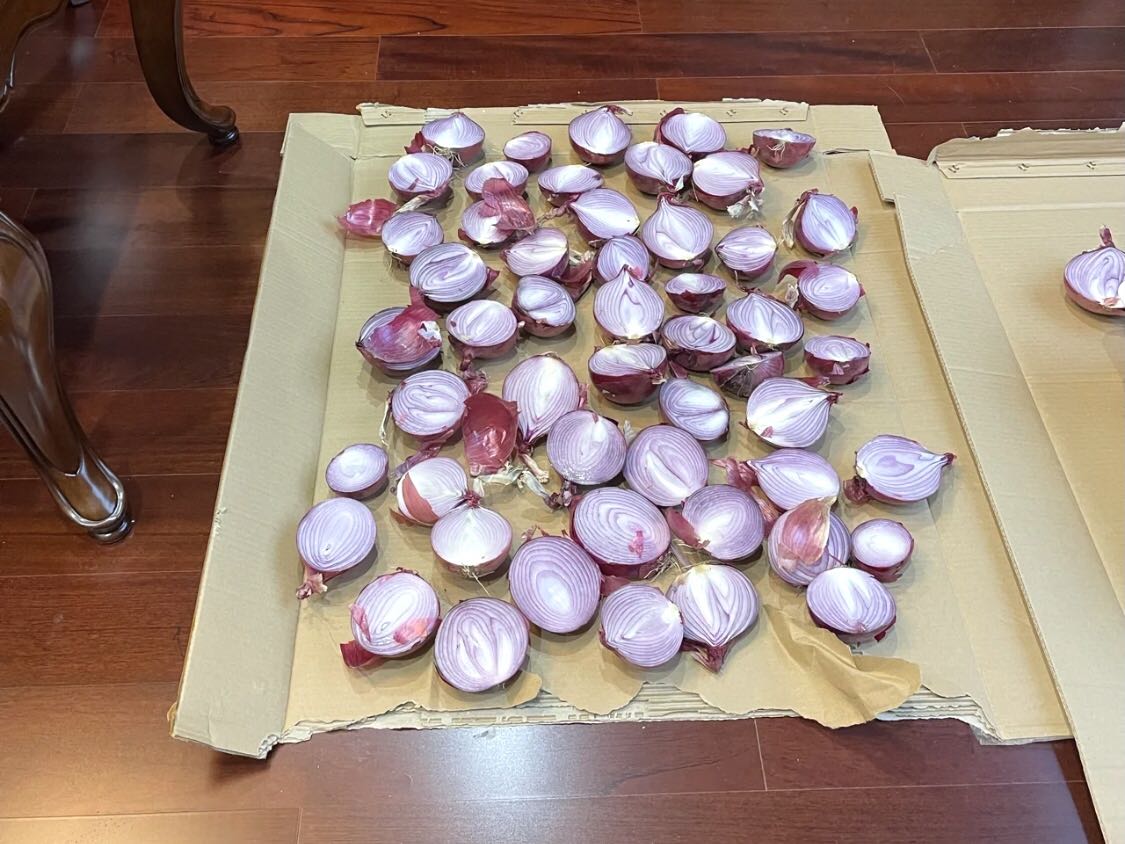 为什么不推荐洋葱除甲醛？