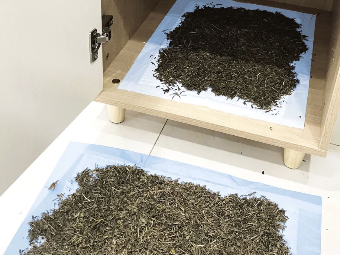不能，茶叶不能去甲醛。
