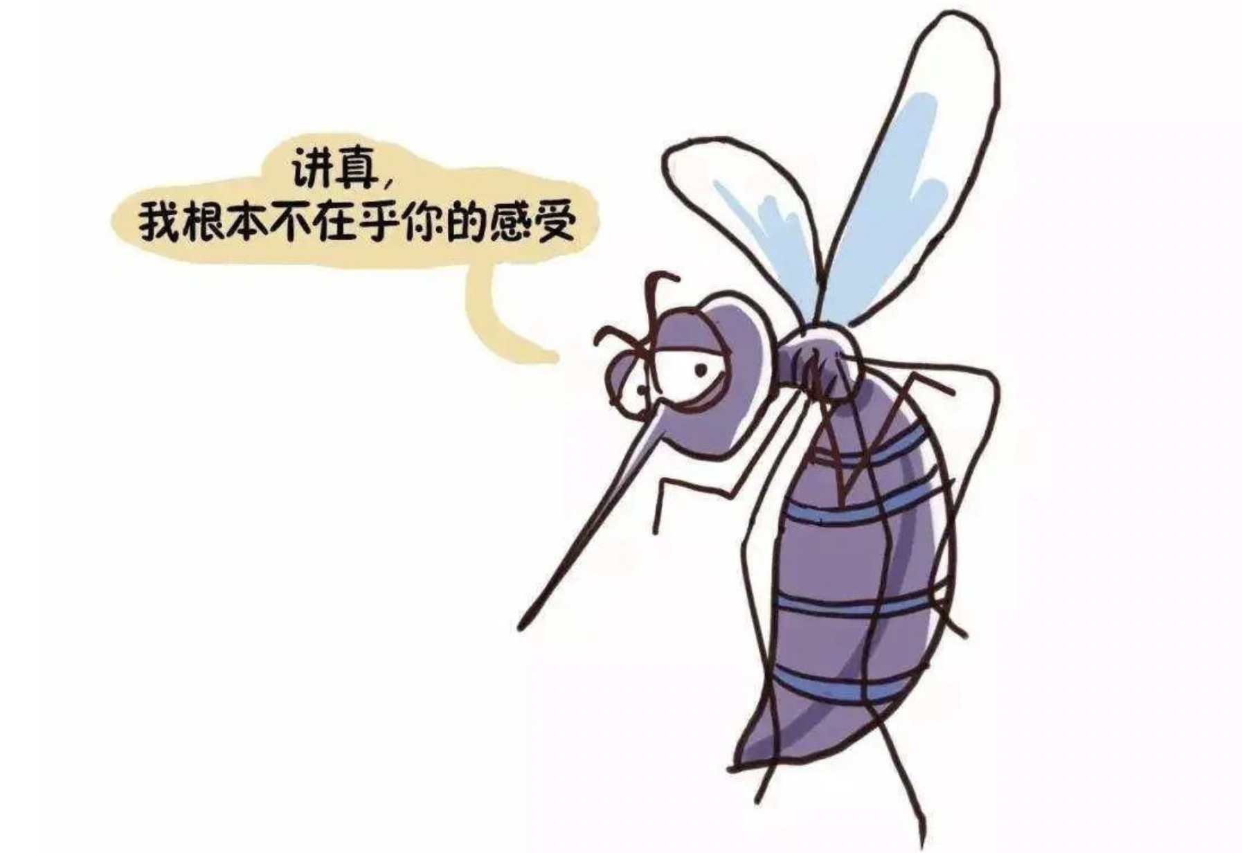 家里蚊子多？这几个地方很容易滋生！