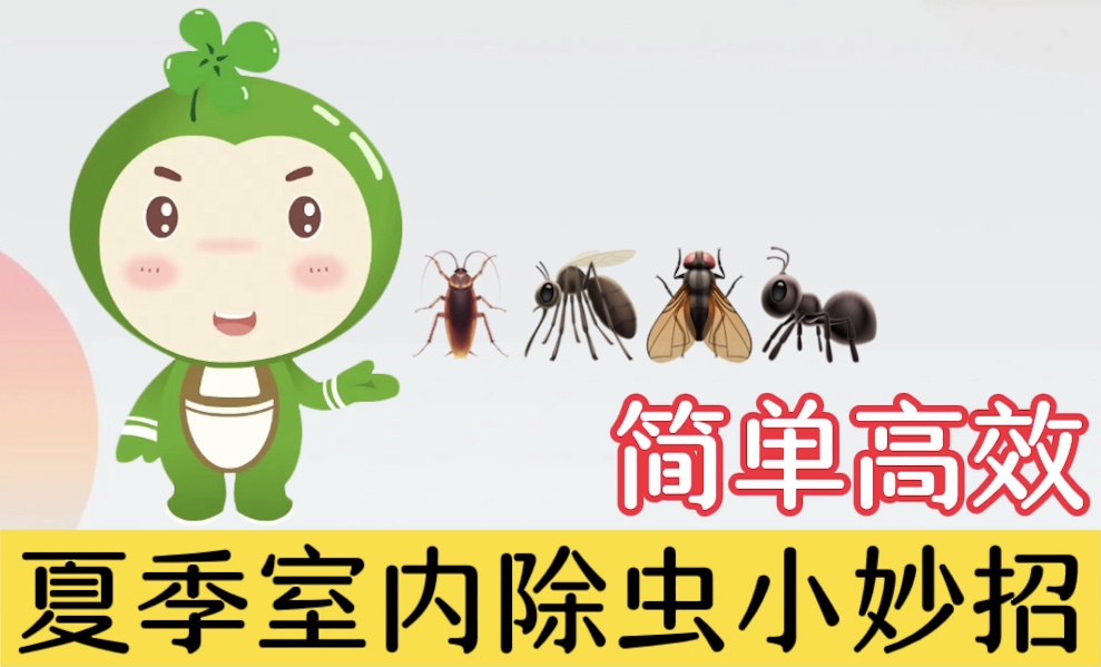 夏季室内除虫小妙招，简单高效
