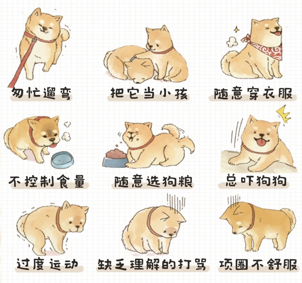 养绿植宠物，这些方面要注意