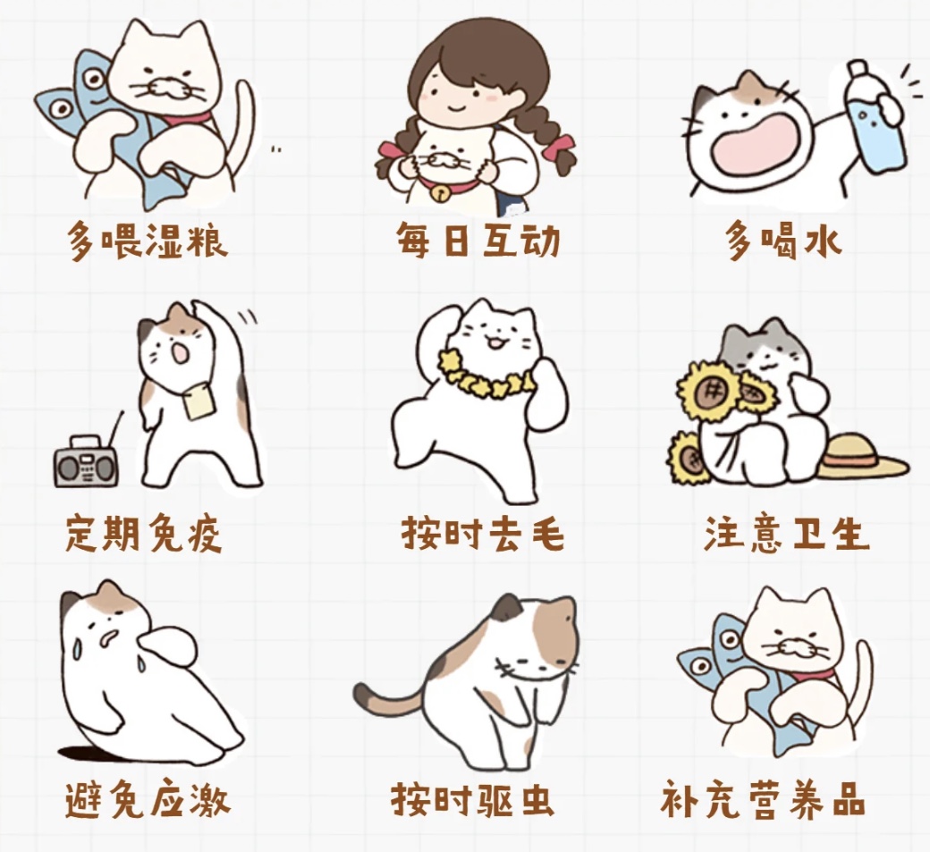 养绿植宠物，这些方面要注意