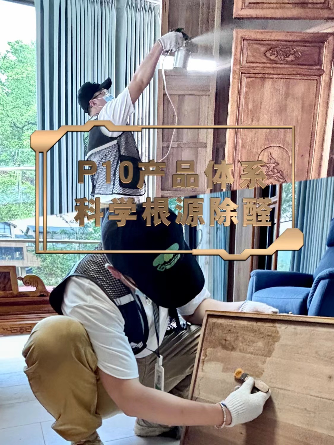 除甲醛公司这么多，区别在哪里？ 