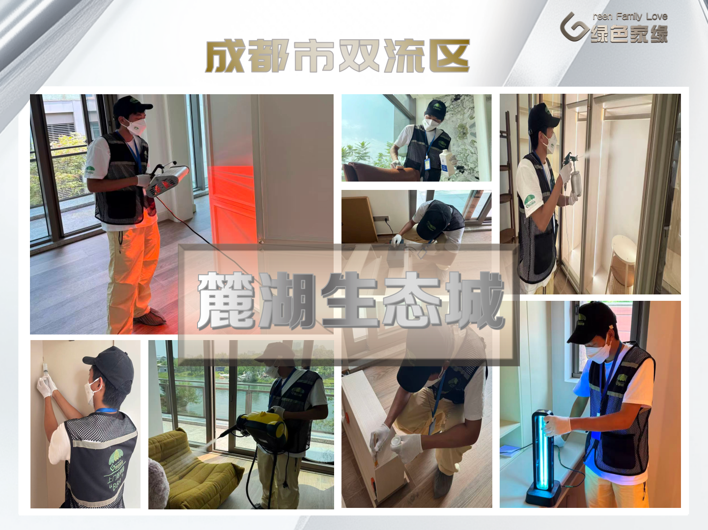 20260928179058407018.png 绿色家缘横版_01(8).png